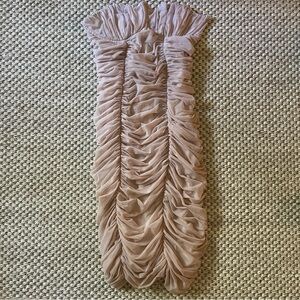 Babaton Blush Flirty Synched Chiffon Structured Dress. DD